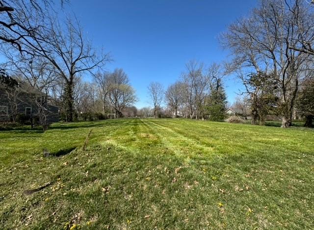 Listing Photo MLS #HMS2541258