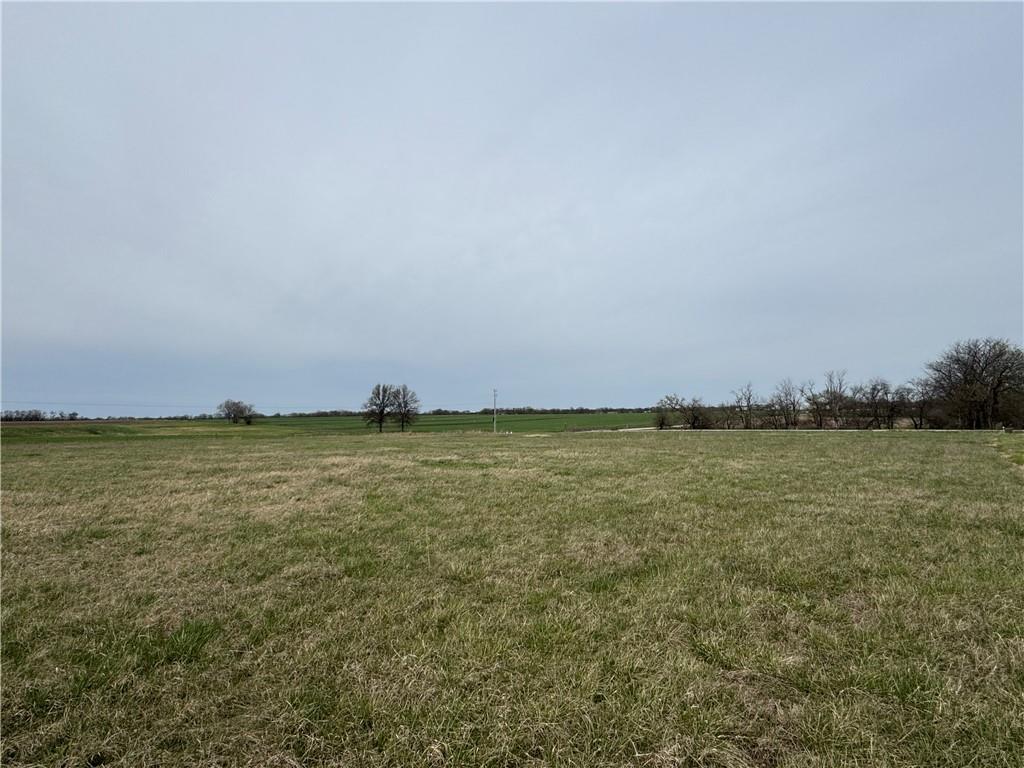 Listing Photo MLS #HMS2541324