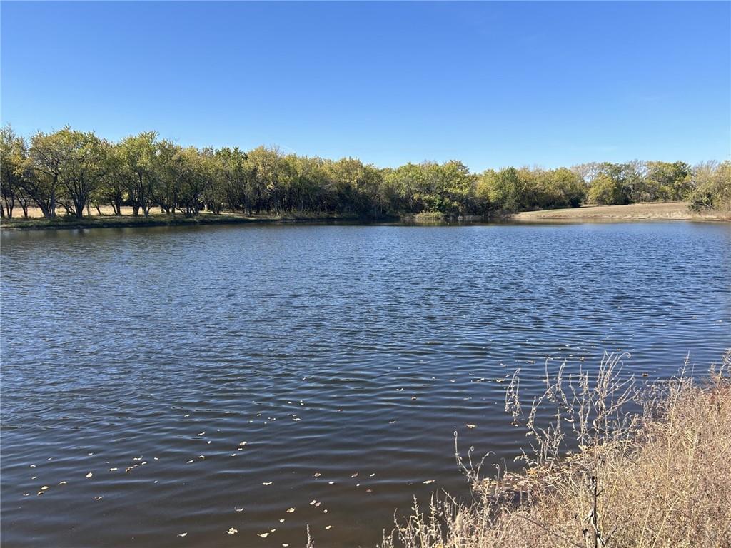 Listing Photo MLS #HMS2541550
