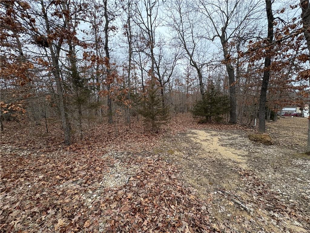 Listing Photo MLS #HMS2541561