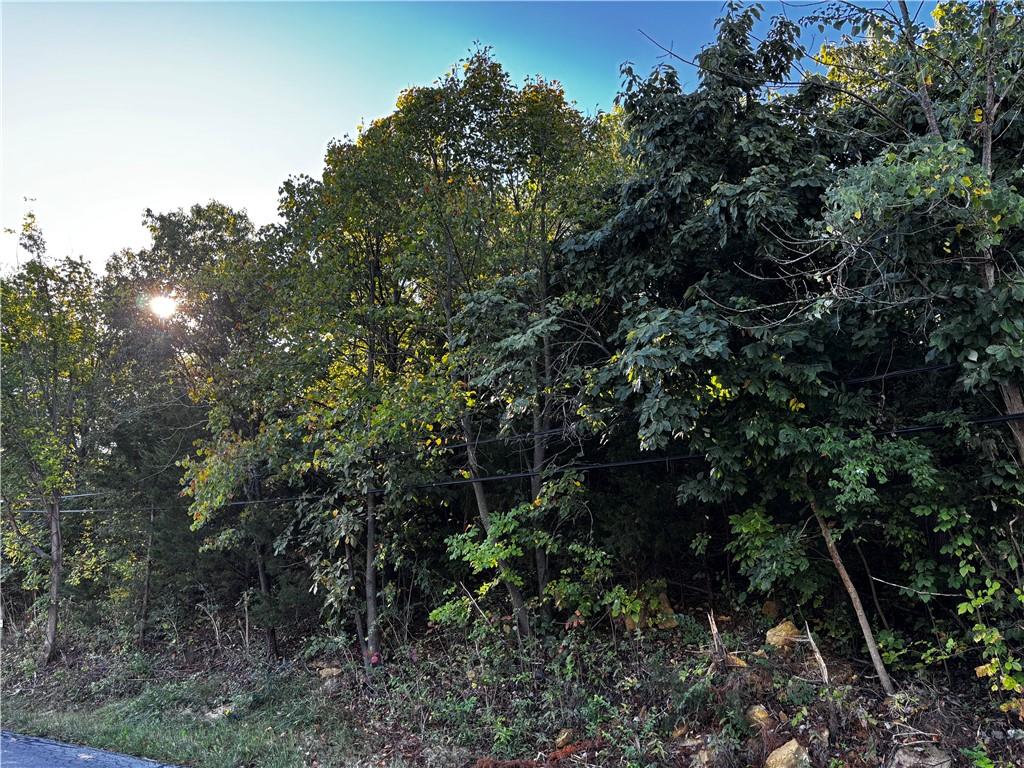 Listing Photo MLS #HMS2541735