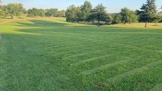 Listing Photo MLS #HMS2541765