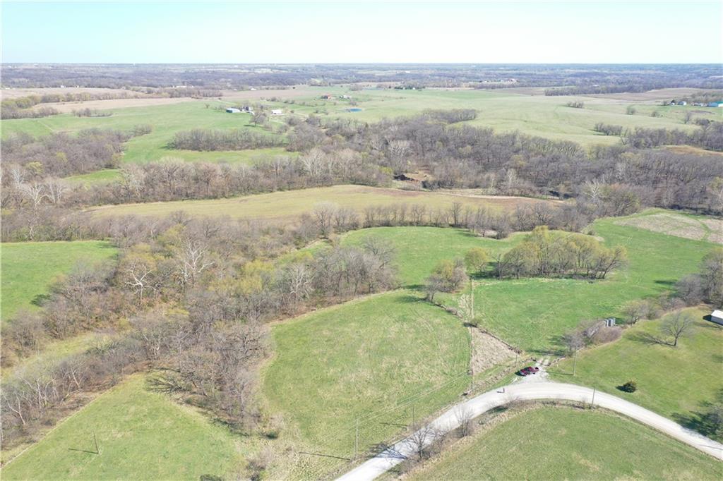 Listing Photo MLS #HMS2542034