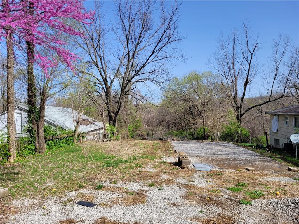 Listing Photo MLS #HMS2542680