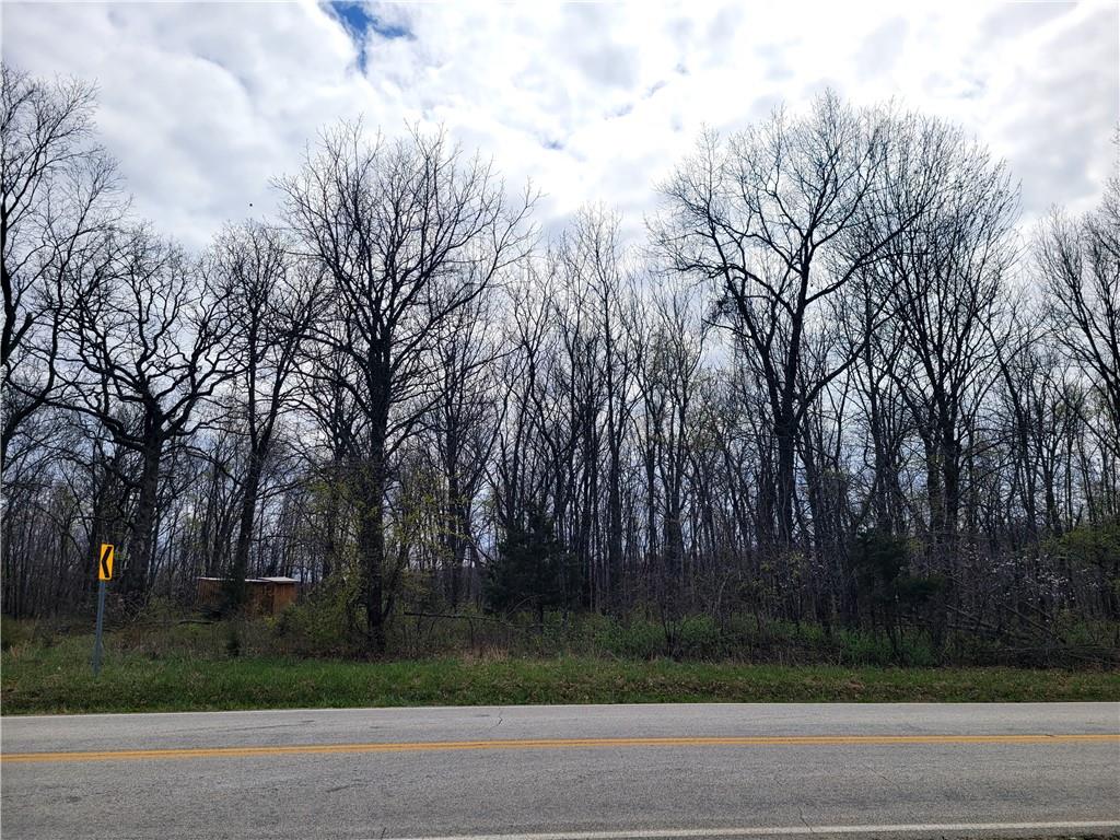 Listing Photo MLS #HMS2542700