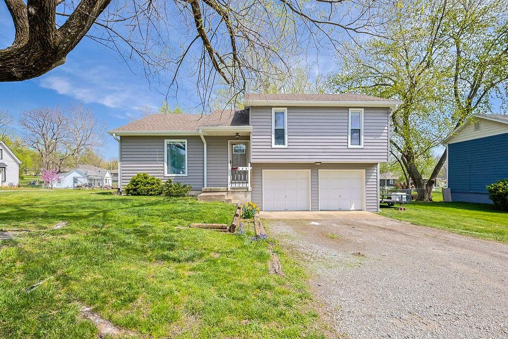 Listing Photo MLS #HMS2542801