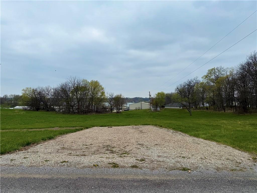 Listing Photo MLS #HMS2542911