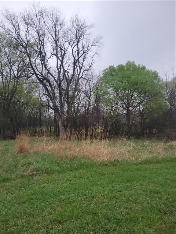 Listing Photo MLS #HMS2543062
