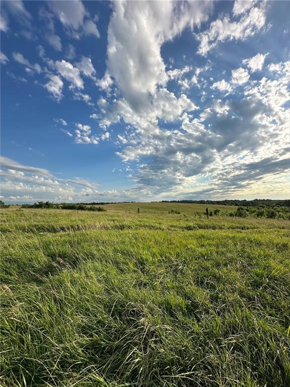 Listing Photo MLS #HMS2543353