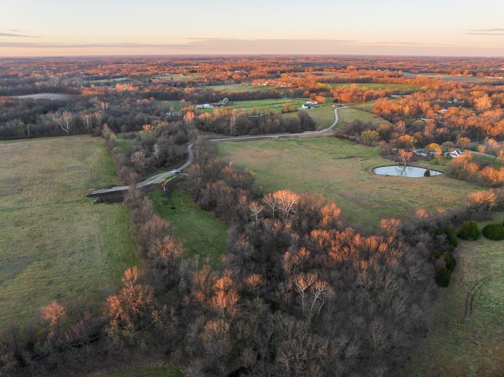 Listing Photo MLS #HMS2543839