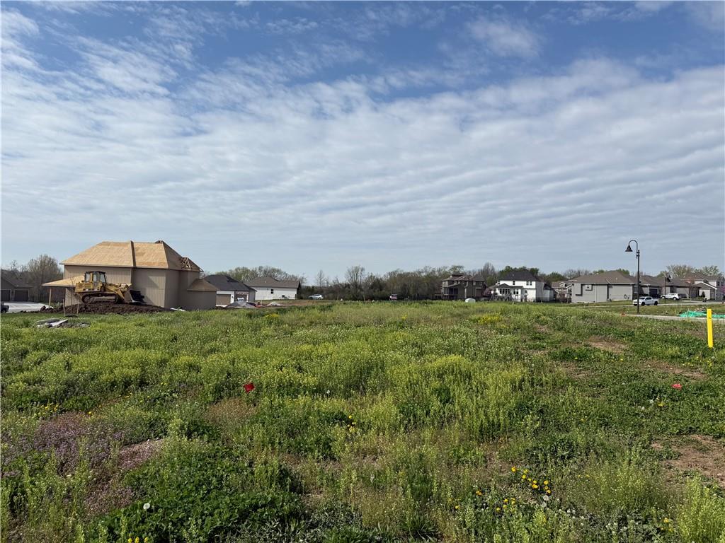Listing Photo MLS #HMS2543923