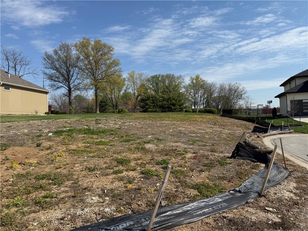 Listing Photo MLS #HMS2543927