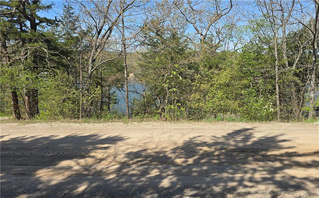 Listing Photo MLS #HMS2544127