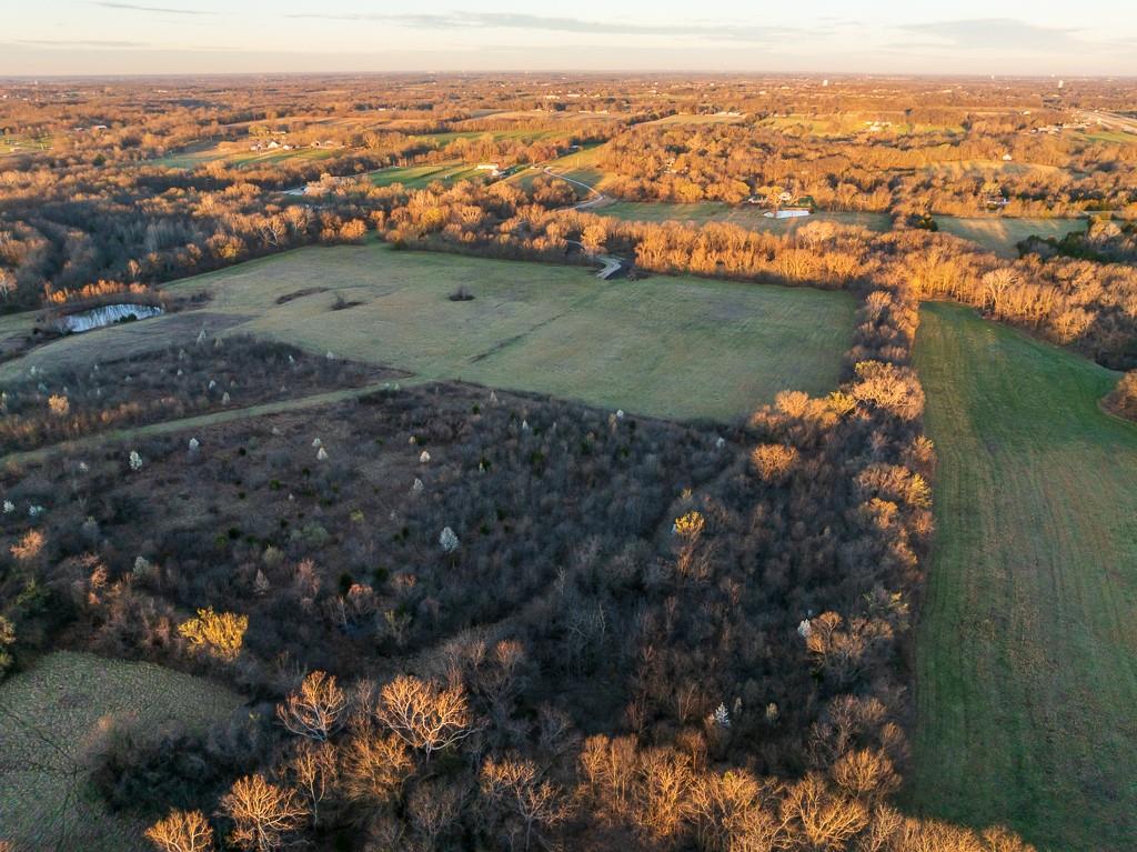 Listing Photo MLS #HMS2544173
