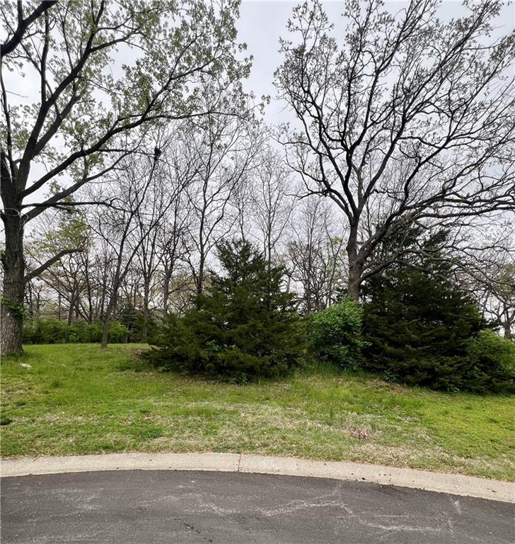 Listing Photo MLS #HMS2544296