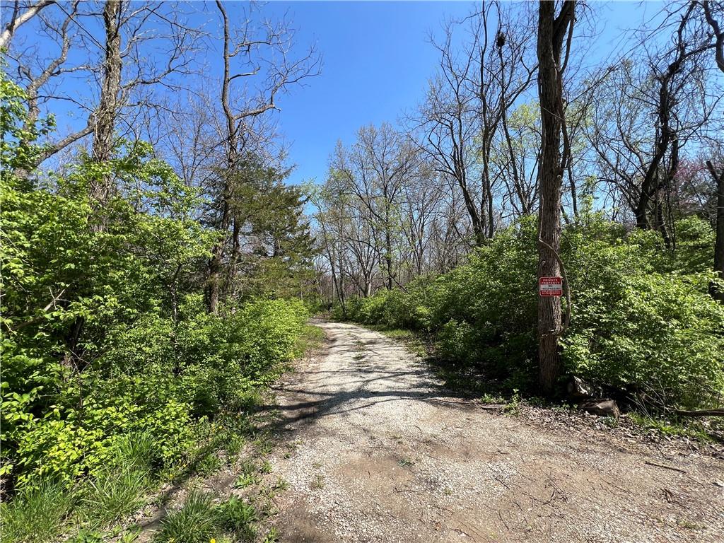 Listing Photo MLS #HMS2544415