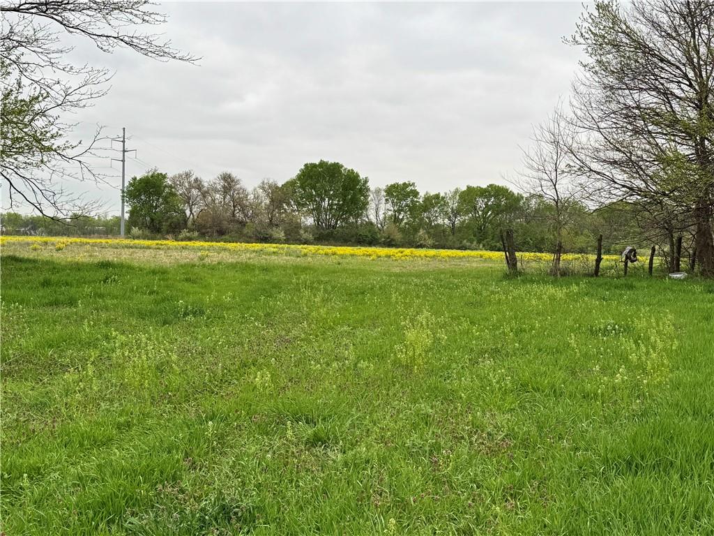 Listing Photo MLS #HMS2544459