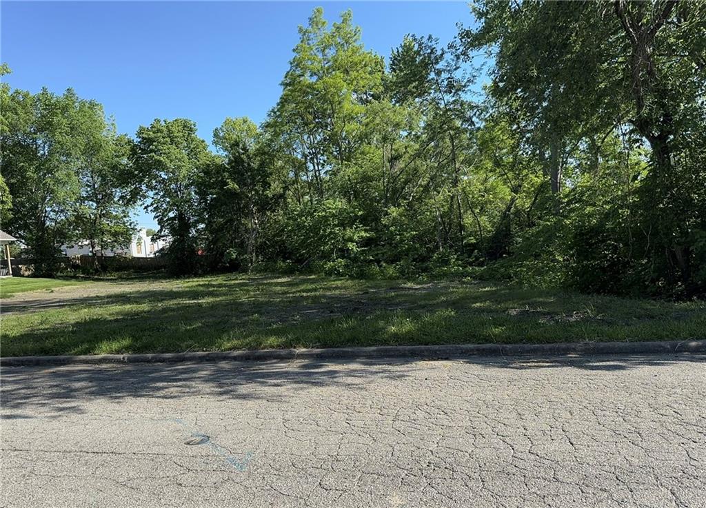 Listing Photo MLS #HMS2544951