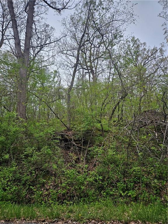 Listing Photo MLS #HMS2545419