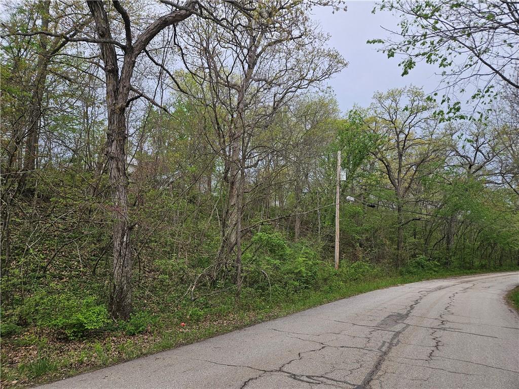 Listing Photo MLS #HMS2545442