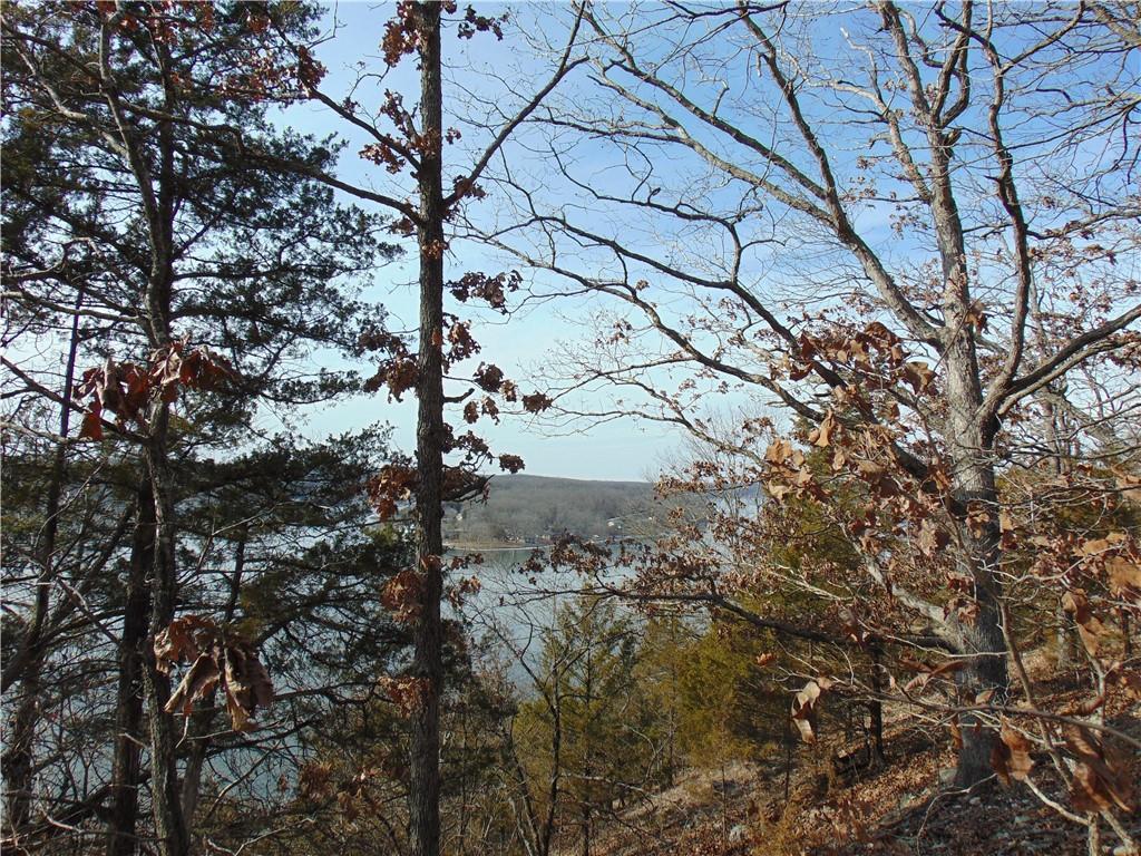 Listing Photo MLS #HMS2545479