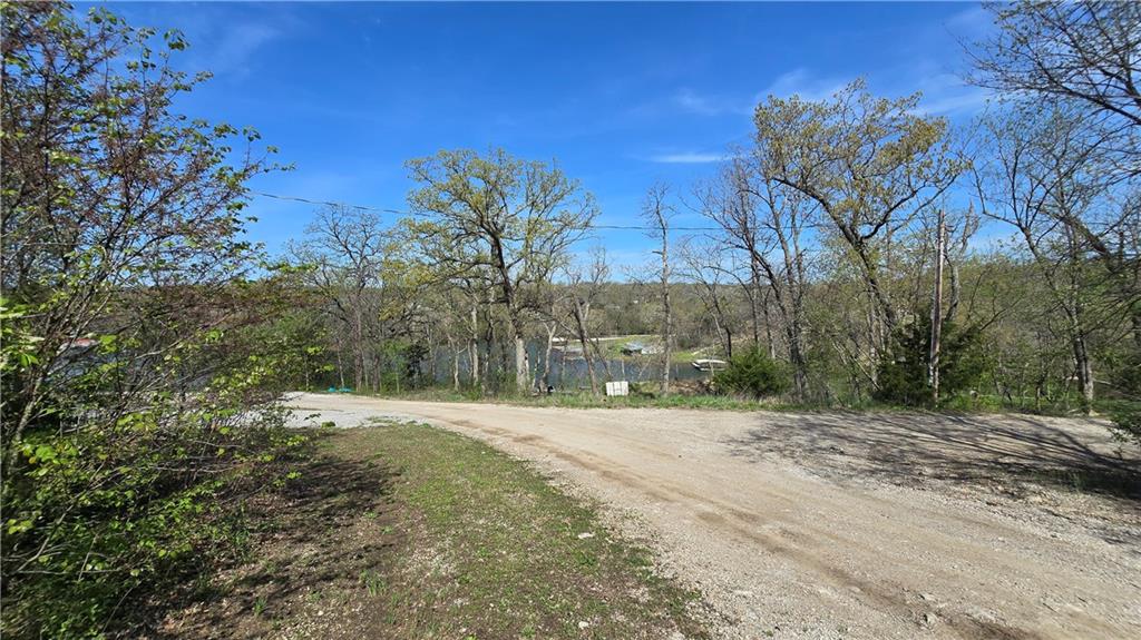 Listing Photo MLS #HMS2545612