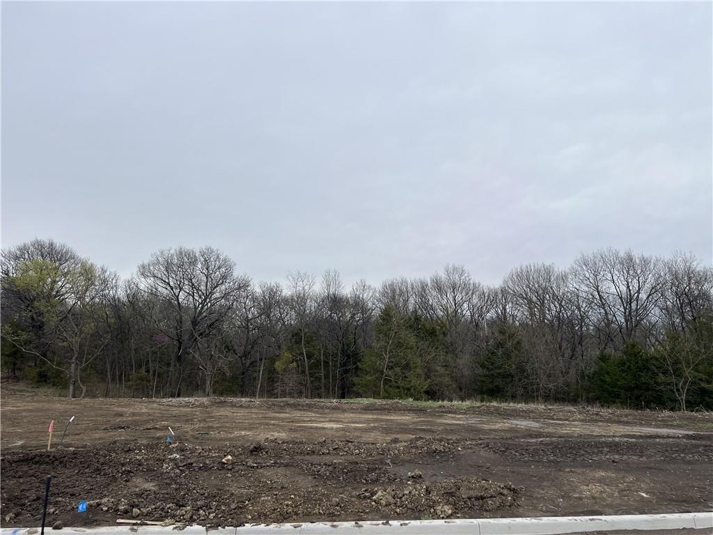 Listing Photo MLS #HMS2545649