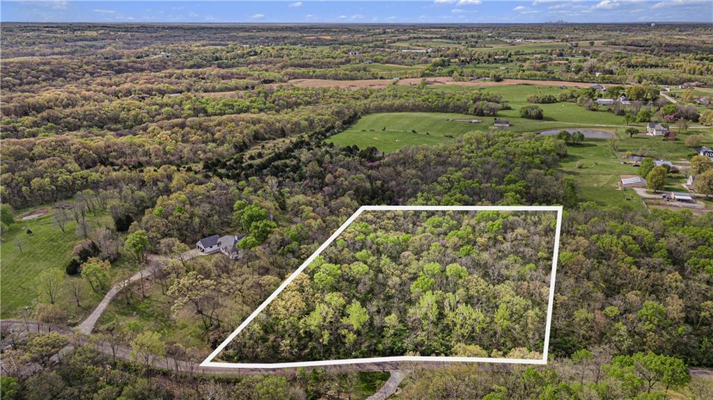 Listing Photo MLS #HMS2545665