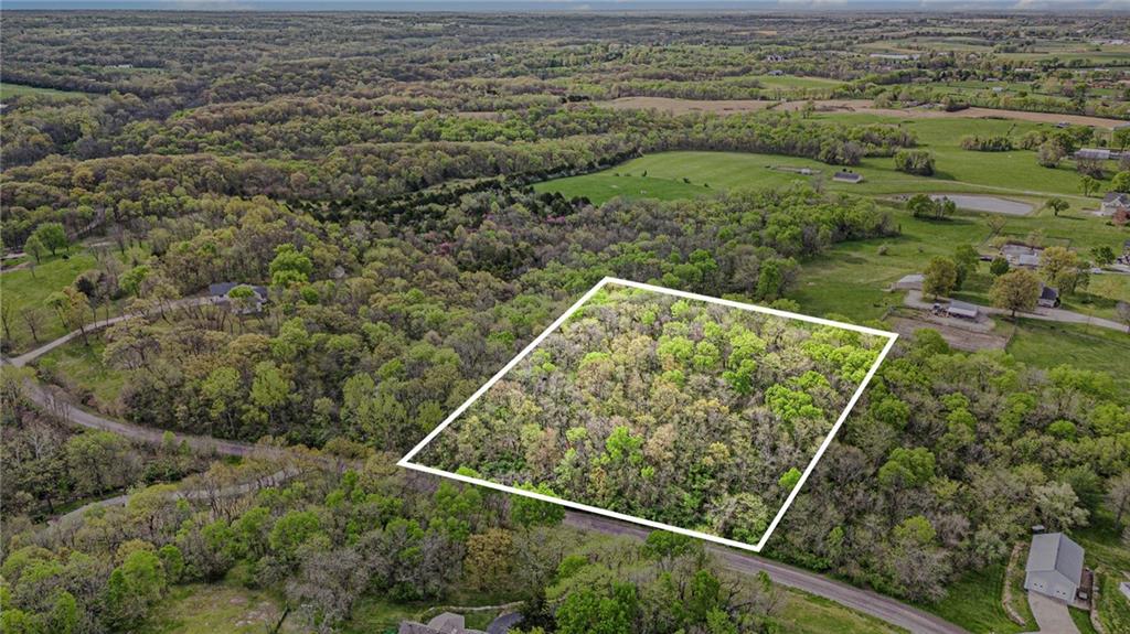 Listing Photo MLS #HMS2545674