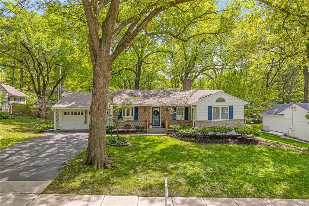 Listing Photo MLS #HMS2545957