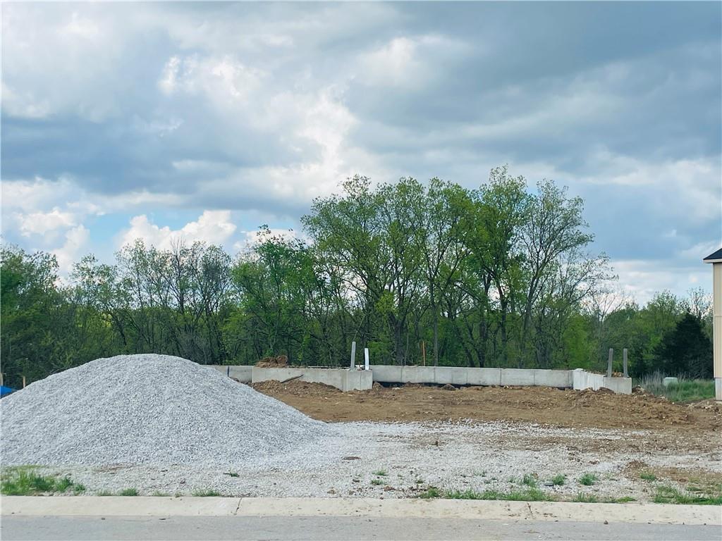 Listing Photo MLS #HMS2546553