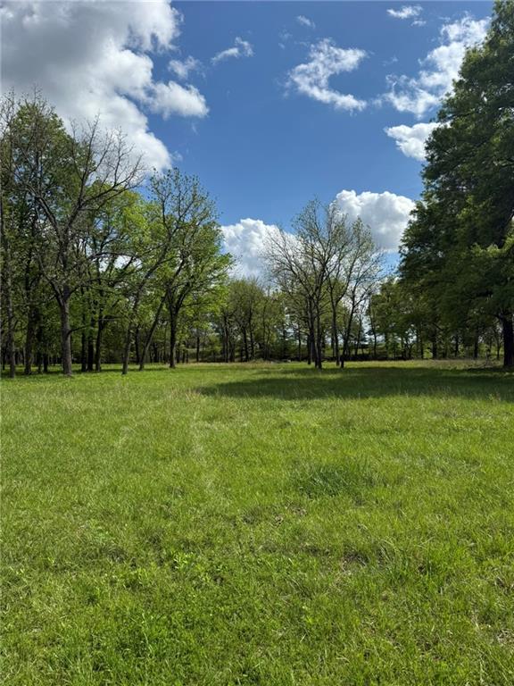 Listing Photo MLS #HMS2546902
