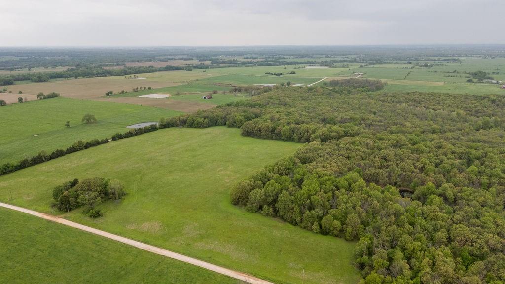Listing Photo MLS #HMS2546912