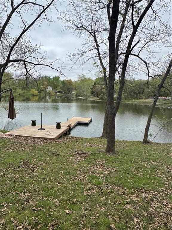 Listing Photo MLS #HMS2547165