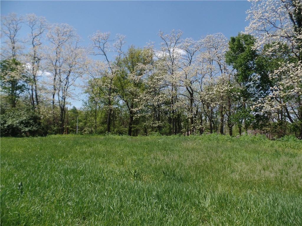 Listing Photo MLS #HMS2547257