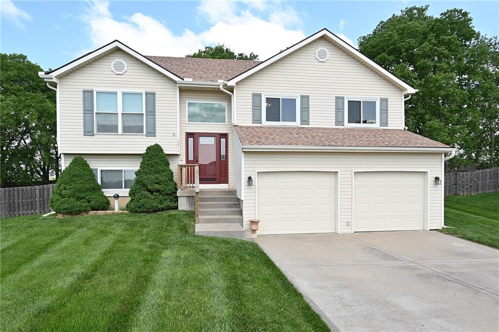 Listing Photo MLS #HMS2548673