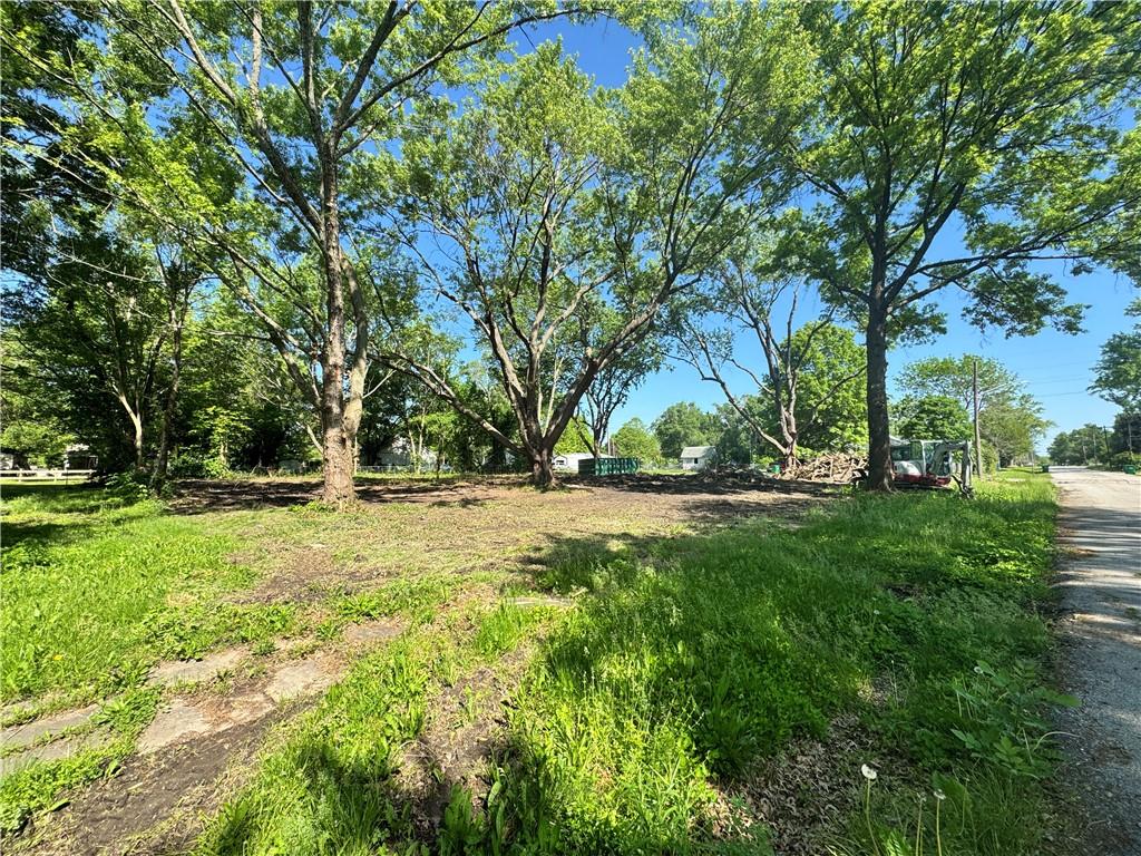 Listing Photo MLS #HMS2548723