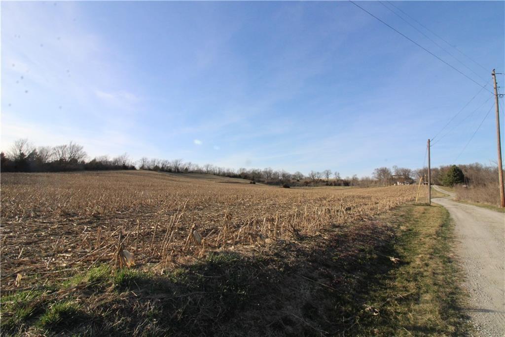 Listing Photo MLS #HMS2548885