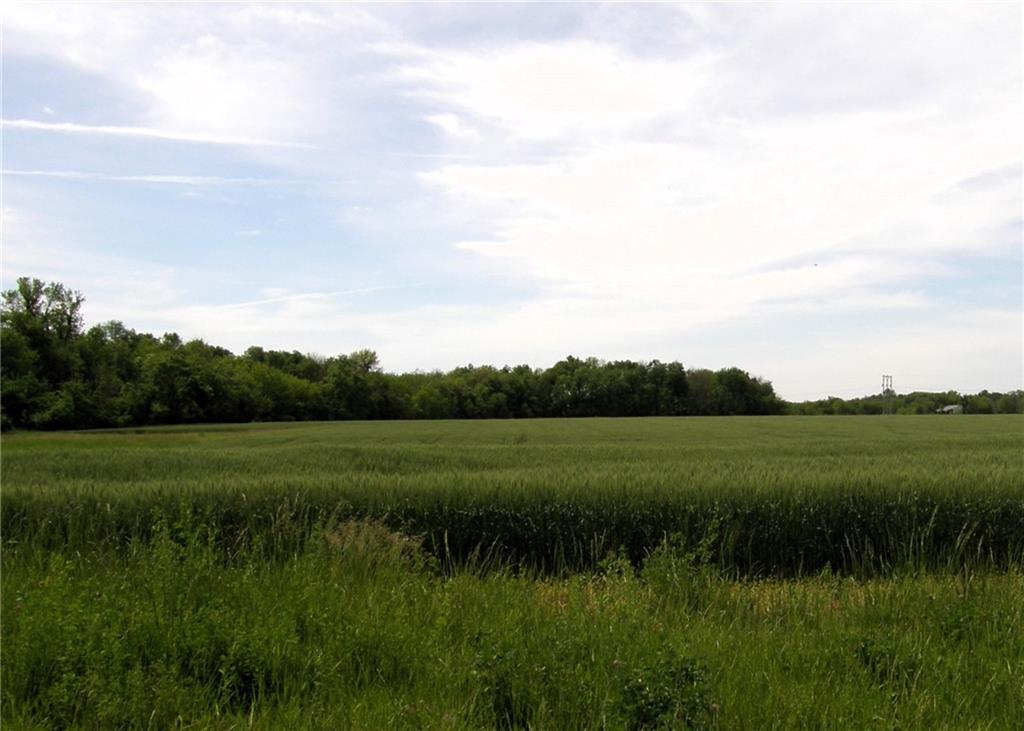 Listing Photo MLS #HMS2549287