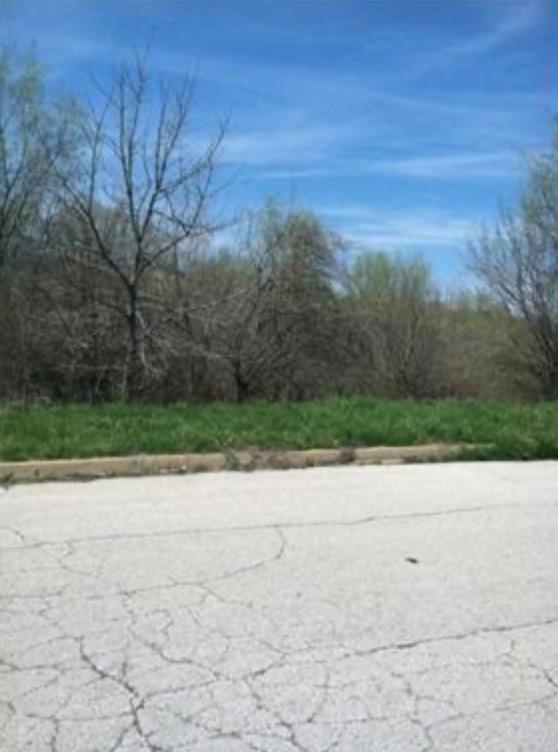 Listing Photo MLS #HMS2549305