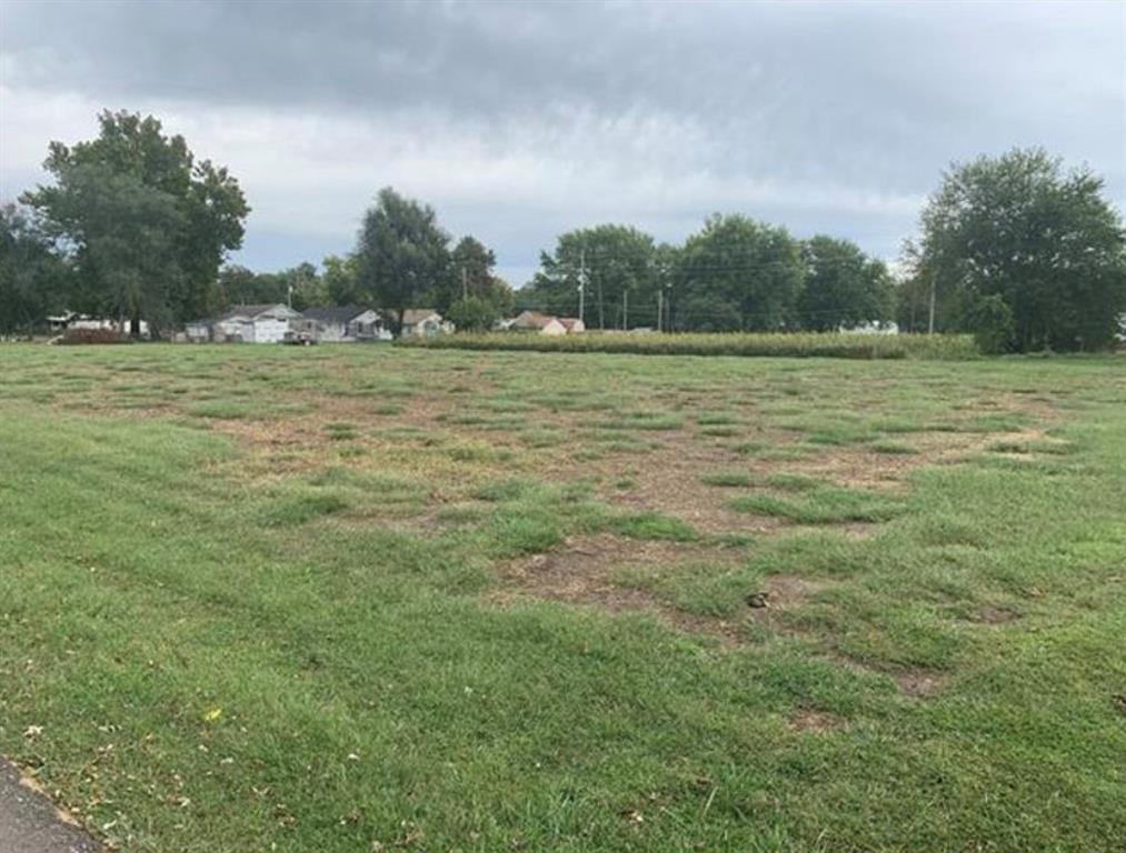 Listing Photo MLS #HMS2549370