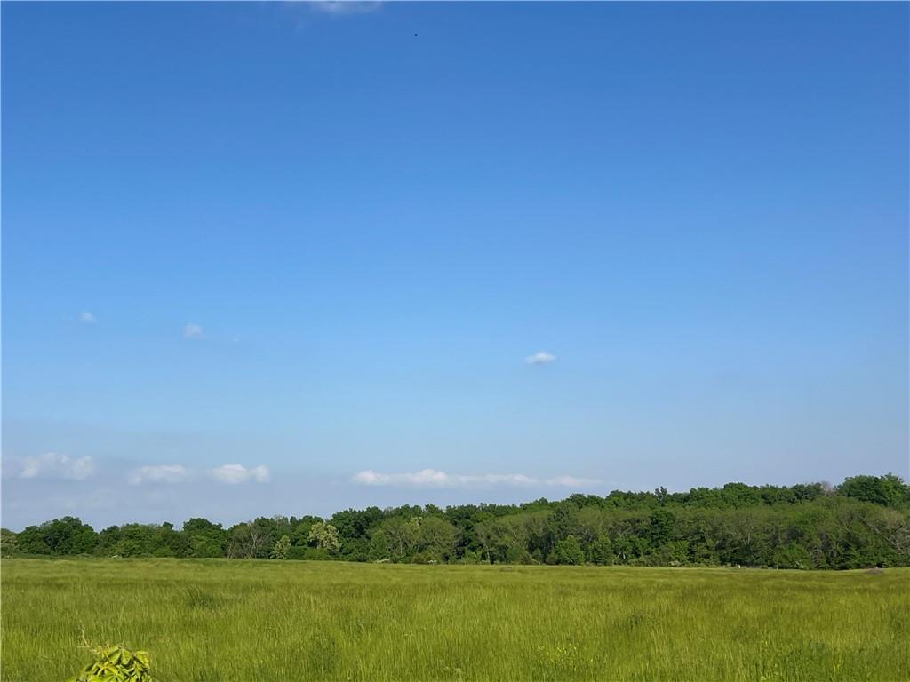 Listing Photo MLS #HMS2549533