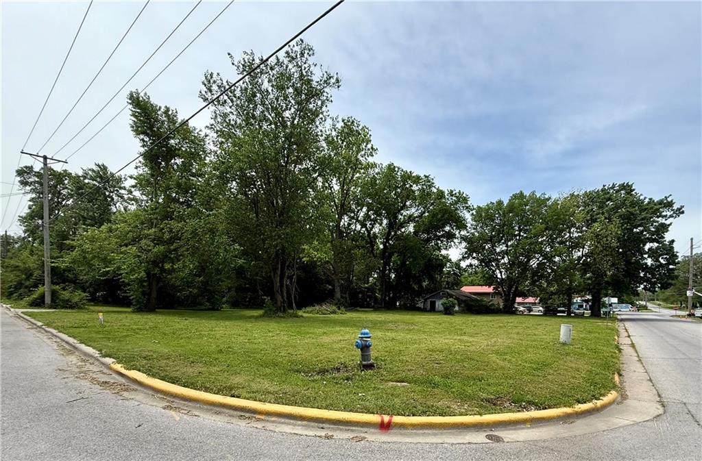 Listing Photo MLS #HMS2549893