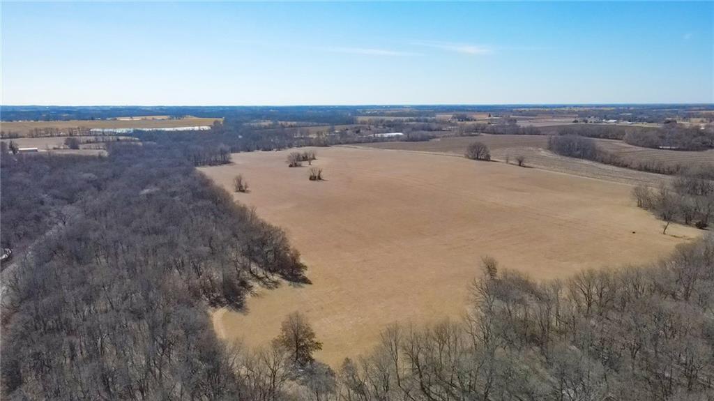 Listing Photo MLS #HMS2549921