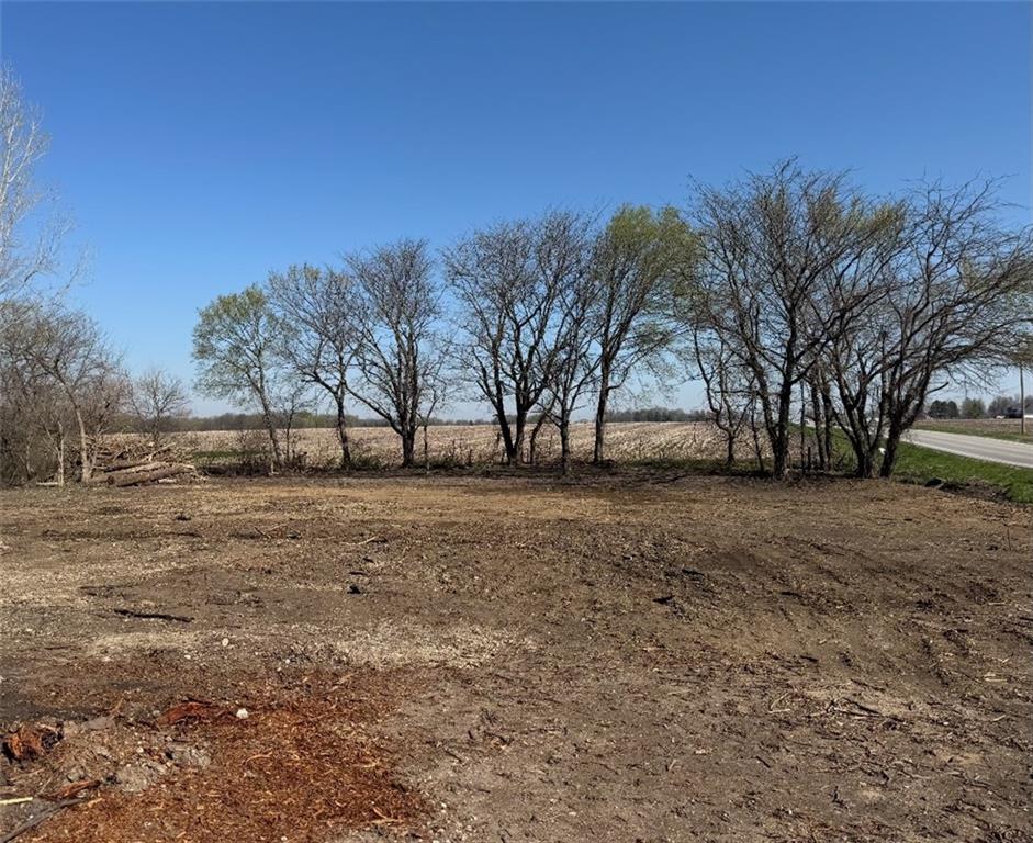 Listing Photo MLS #HMS2551787