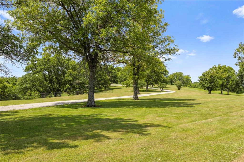 Listing Photo MLS #HMS2552438