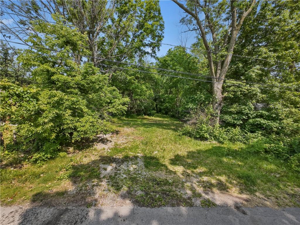 Listing Photo MLS #HMS2552633