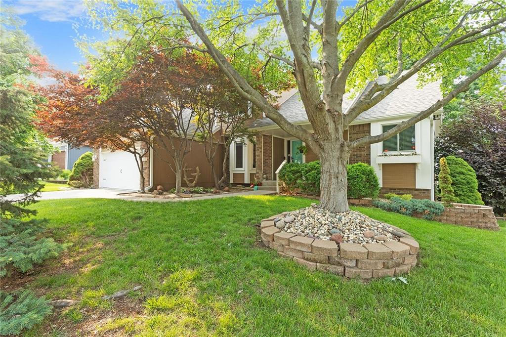 Listing Photo MLS #HMS2552896