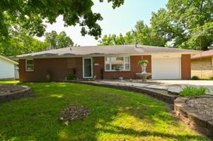 Listing Photo MLS #HMS2553251