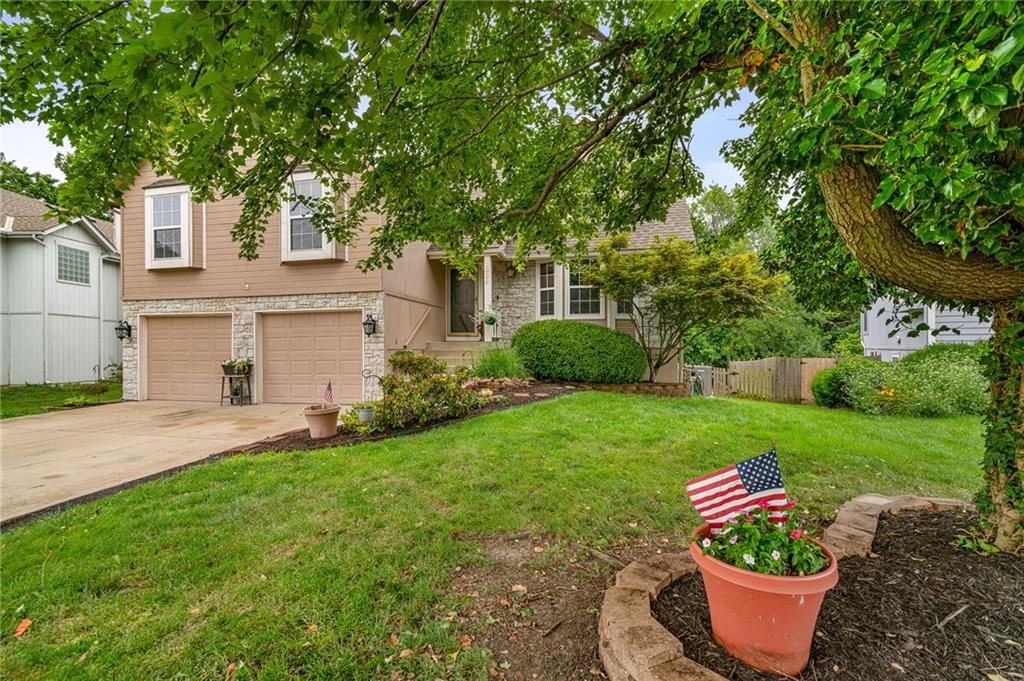 Listing Photo MLS #HMS2553758